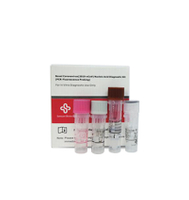 Sansure Medical Diagnostic Nucleic Säure Test Kit PCR-Test Echtzeit